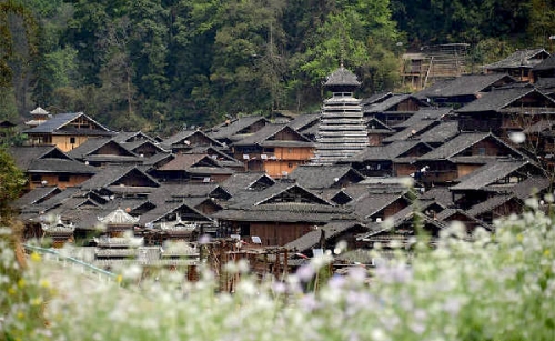 Loài[-]hoa[-]bí[-]ẩn[-]giúp[-]mỗi[-]gia[-]đình[-]có[-]1[-]trai,[-]1[-]gái